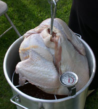 fried turkey